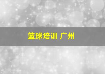 篮球培训 广州